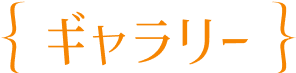 ギャラリー